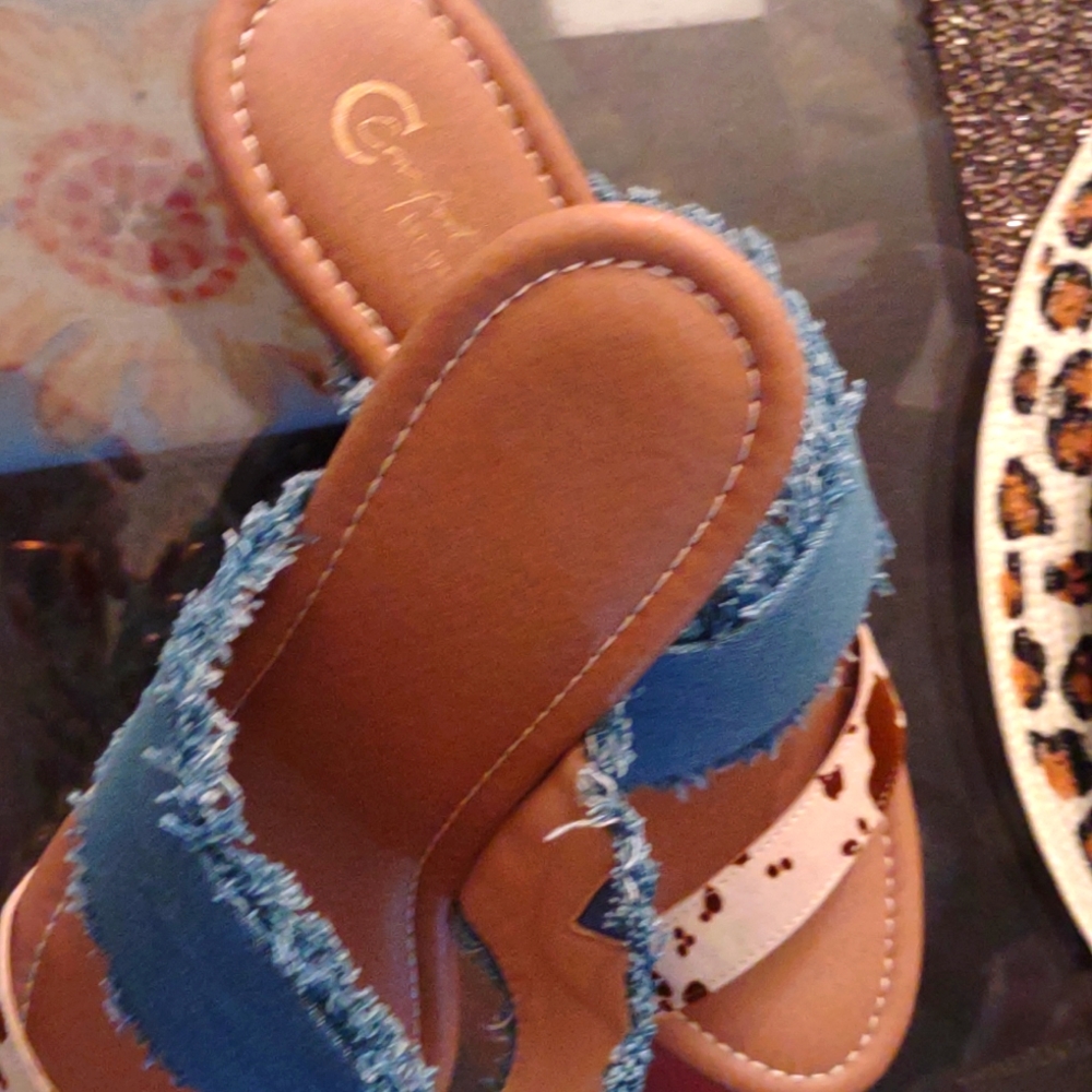 Blue Jean & Animal Print Heel~Note:. says 11 but I say a 9.5" Never" Worn!!